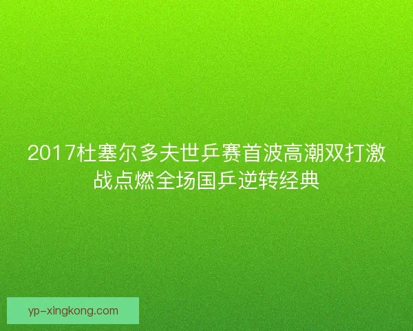 2017杜塞尔多夫世乒赛首波高潮双打激战点燃全场国乒逆转经典